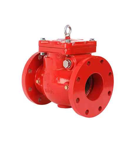 Industrial Check Valve